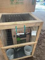 Transport kisten, Ophalen of Verzenden, Vee