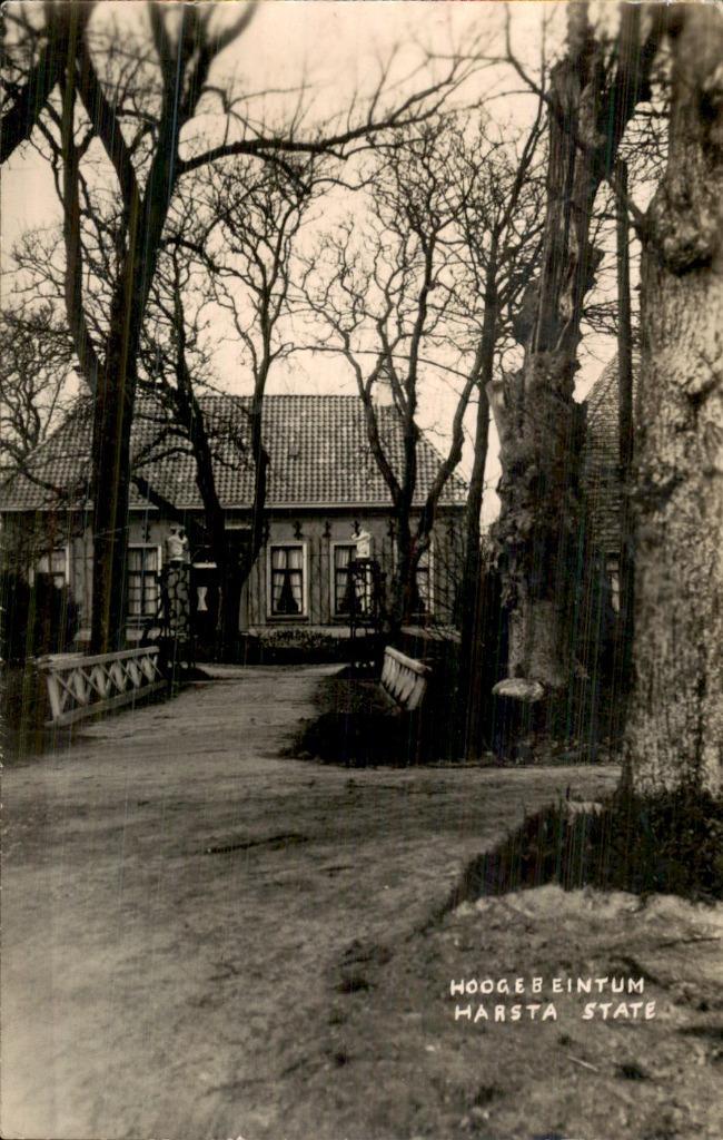 Hoogebeintum - Harsta State, Verzamelen, Ansichtkaarten | Nederland, Gelopen, Friesland, Voor 1920, Ophalen of Verzenden