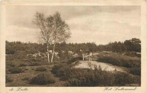 (301-410-005) de Lutte Het Lutterzand, Verzamelen, Ansichtkaarten | Nederland, Overijssel, Verzenden