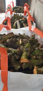 Vers gezaagd appelhout, Tuin en Terras, Haardhout, Minder dan 3 m³, Ophalen