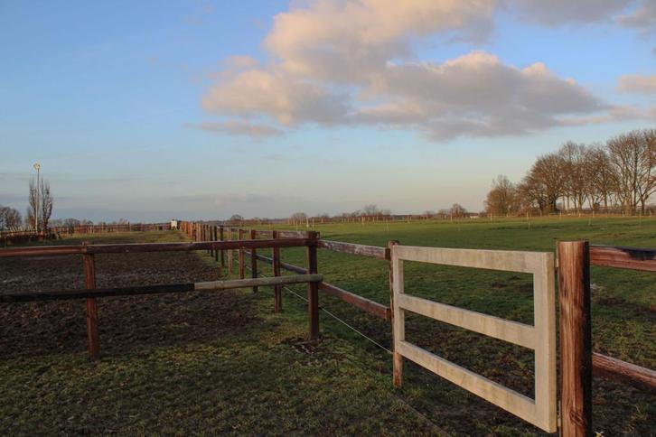 Stalling aangeboden, Dieren en Toebehoren, Stalling en Weidegang, Stalling