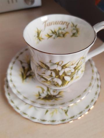 Royal Albert January Kop & Schotel + Bord beschikbaar voor biedingen