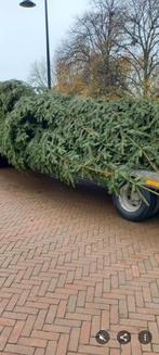 Grote ‼️KERSTBOMEN van 4 en 6,5 m.  06 23623076, Ophalen of Verzenden