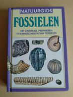 Fossielen, Ophalen of Verzenden, Gebruikt