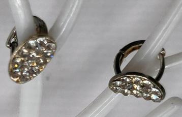 MOOIE ZILVERKLEURIGE OORBELLEN beschikbaar voor biedingen