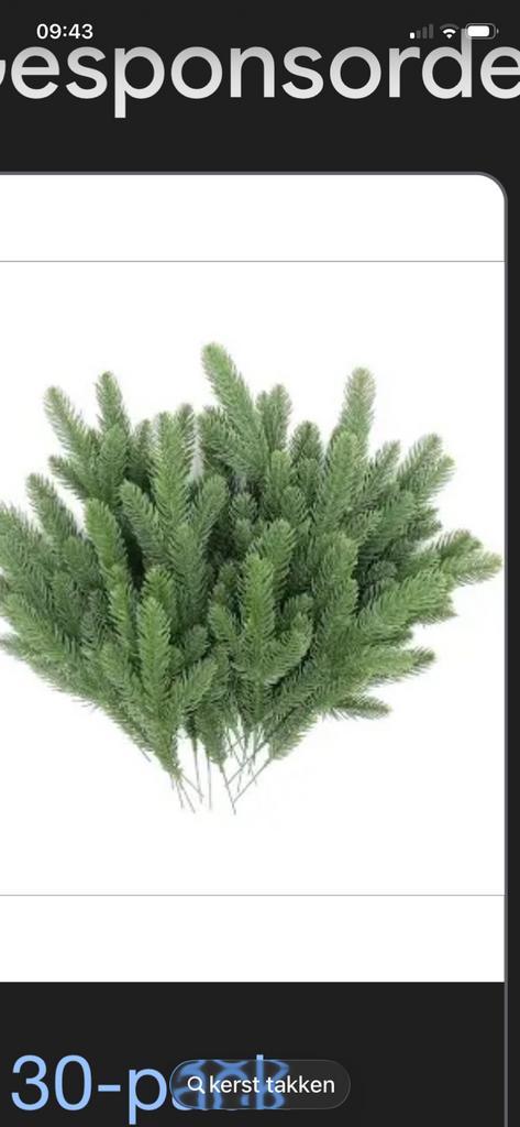 Kerst takken ik kom graag langs met mn schaartje, Diversen, Kerst, Nieuw, Ophalen