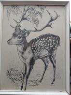 Vintage pentekening van een hert in lijst, Ophalen of Verzenden