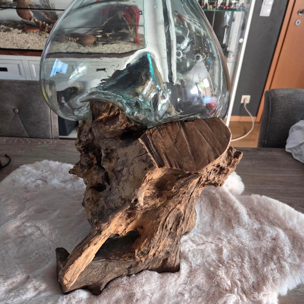 Kom op boomstam, Ophalen of Verzenden, Nieuw