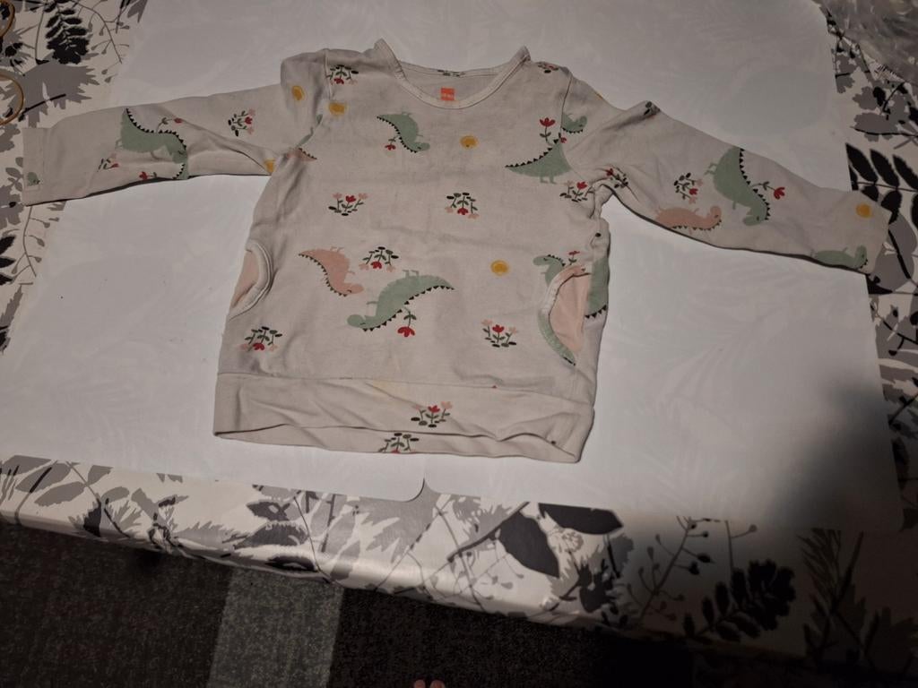 Baby Meisje Dunne Truitje. Maat 74., Kinderen en Baby's, Babykleding | Maat 74, Ophalen of Verzenden, Zo goed als nieuw, Hema
