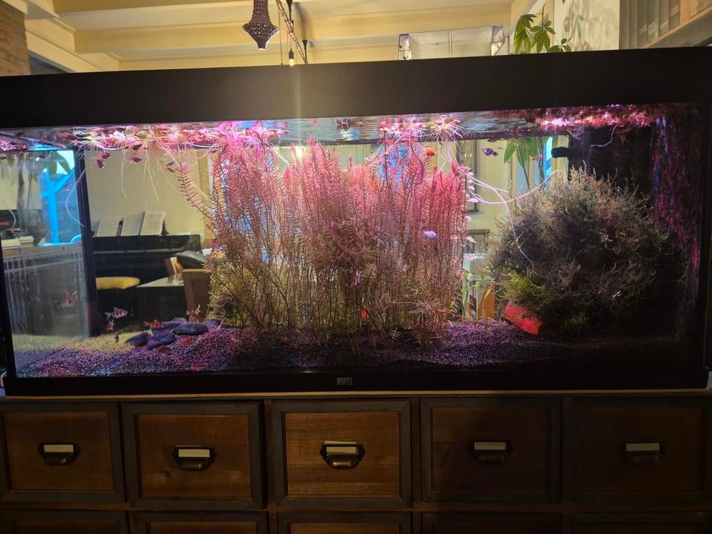 Juwel.rio 240 met helialux verlichting., Ophalen, Zo goed als nieuw, Leeg aquarium