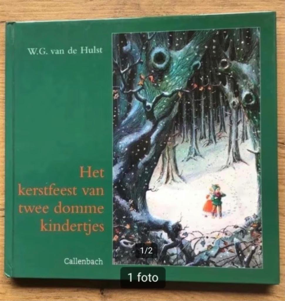 Het kerstfeest van twee domme kindertjes -W.G.van de Hulst, Ophalen of Verzenden, Gelezen, Fictie algemeen