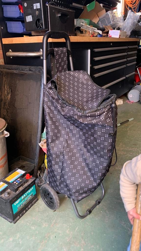 Boodschappenkarretje, Sieraden, Tassen en Uiterlijk, Ophalen of Verzenden, Gebruikt, 30 cm of meer