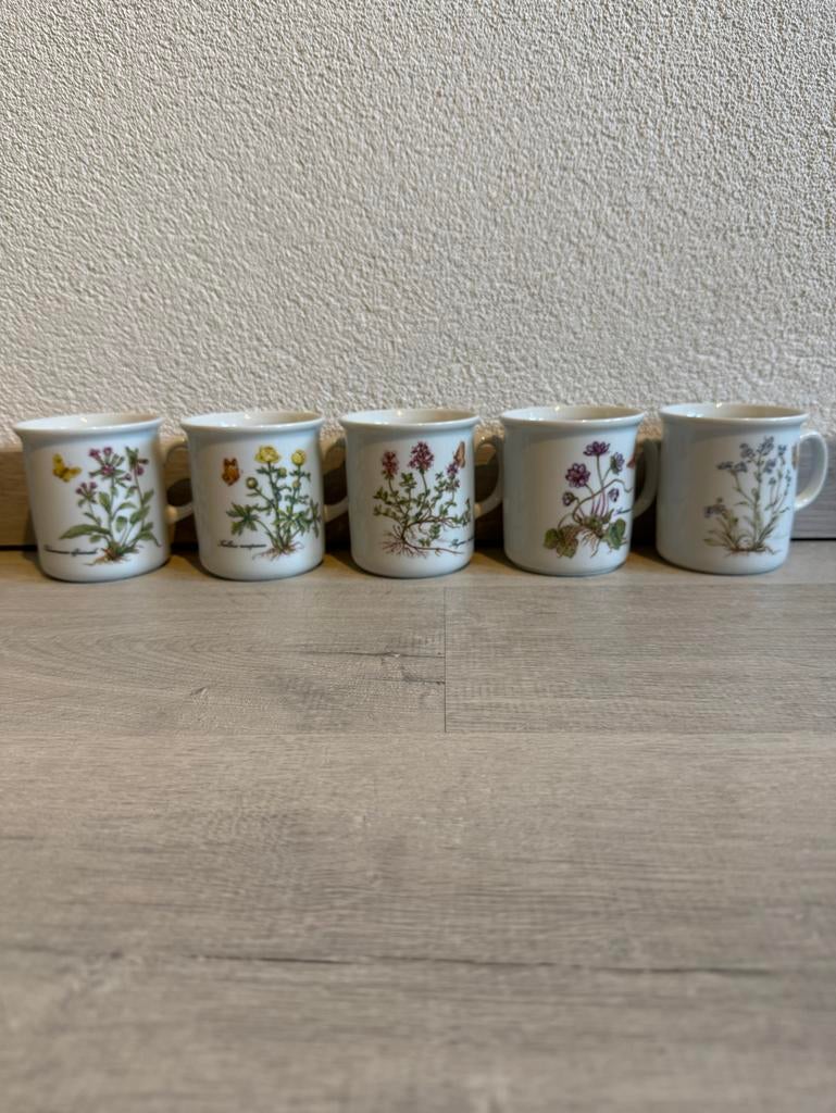 Set van 5 vintage Kronester Bavaria mokken met bloemdecor, Ophalen of Verzenden