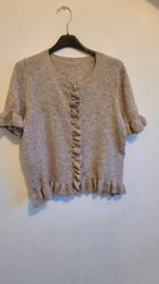 vestje met ruches NIEUW, Ophalen of Verzenden, Gedragen, Maat 38/40 (M), Beige