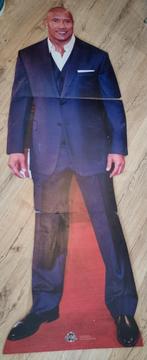 Levensgrote stand up dwayne johnson, Ophalen, Gebruikt