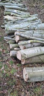 Haardhout, Tuin en Terras, Haardhout, 6 m³ of meer, Ophalen, Overige houtsoorten, Stammen