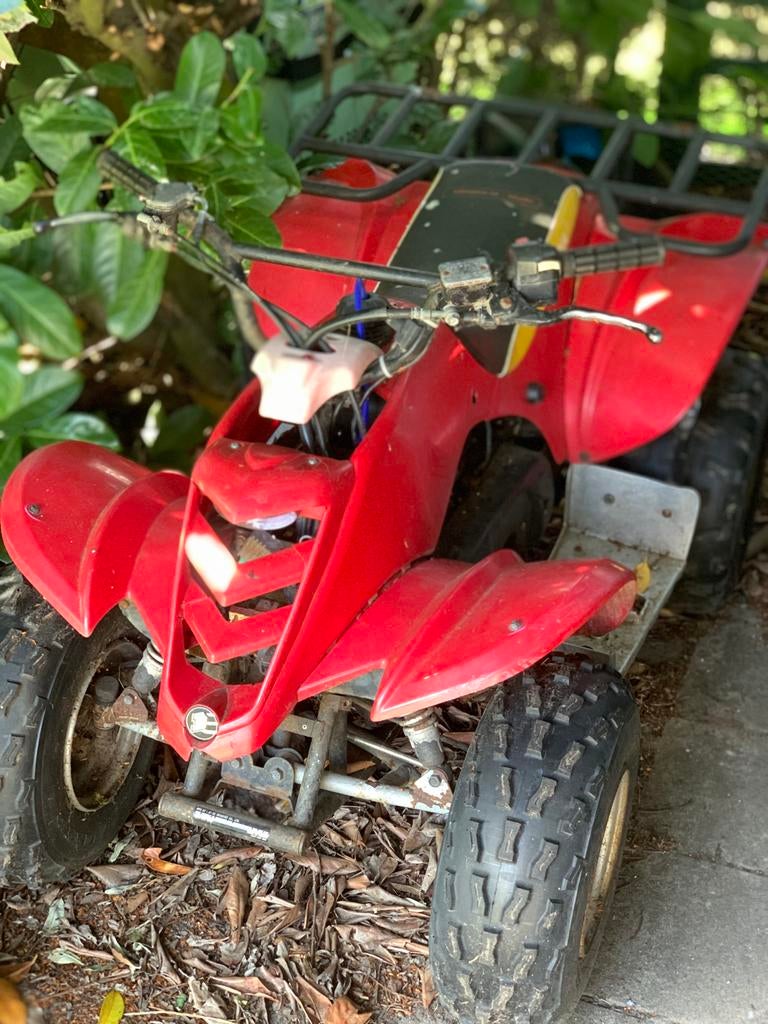 Eton Viper 90cc 2-takt quad, Motoren, Quads en Trikes, 1 cilinder, 11 kW of minder