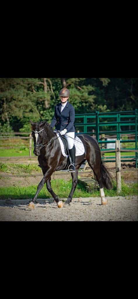 Dressur/spring instructrice aangeboden, Ophalen