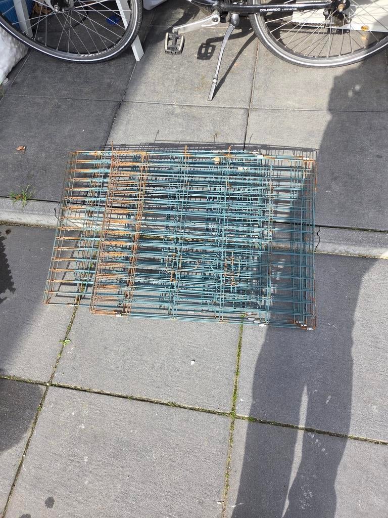 Ren konijnen , honden ongv 10m, Ophalen of Verzenden