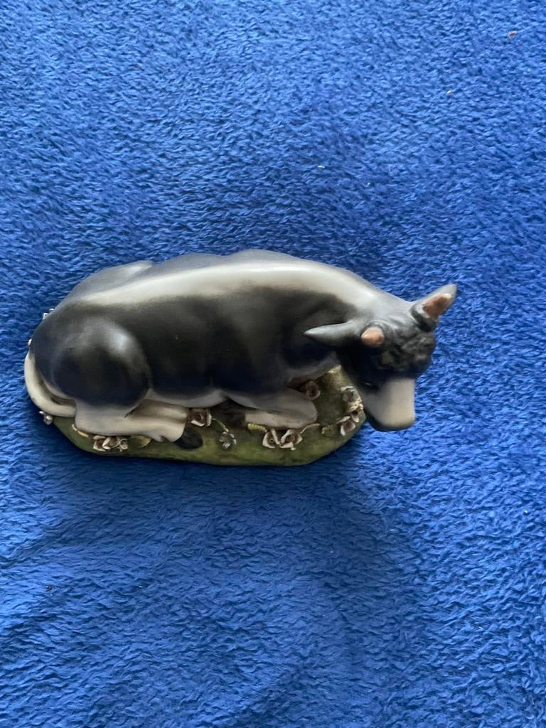 Meissen koe., Ophalen of Verzenden