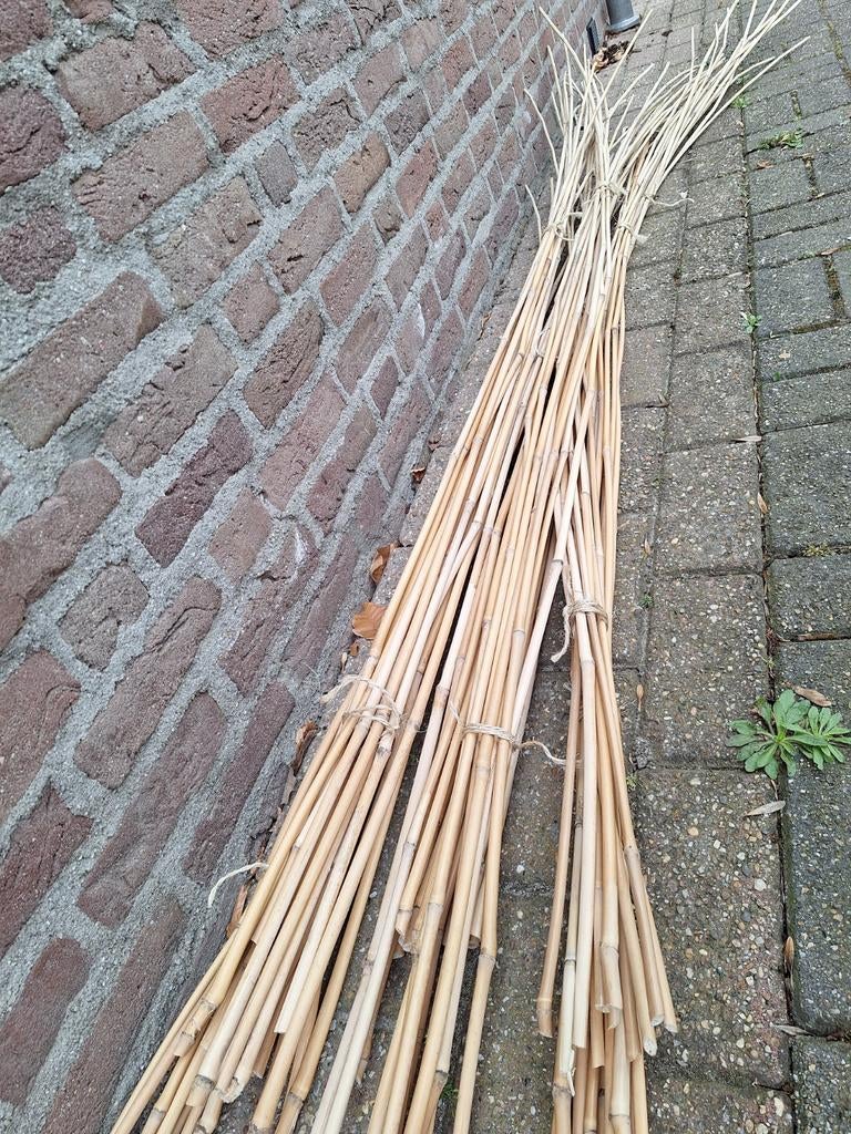 Bamboe stokken, Ophalen