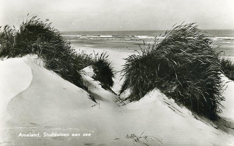 AMELAND – Stuifduinen aan zee 1963 (VK494), Verzenden, 1960 tot 1980, Gelopen, Waddeneilanden