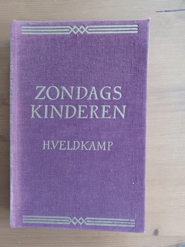 Zondagskinderen deel 1 - HC zondag 1-22, Boeken, Gelezen, Christendom | Protestants, Ophalen of Verzenden, Ds. H. Veldkamp
