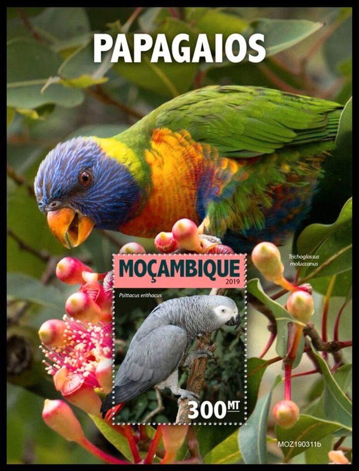 50 veiling van 27-28 en 01 mrt Mozambique, Postzegels en Munten, Postzegels | Thematische zegels, Dier of Natuur, Ophalen of Verzenden