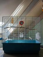 Vogelkooi te koop, Dieren en Toebehoren, Ophalen, Zo goed als nieuw, Metaal, Vogelkooi