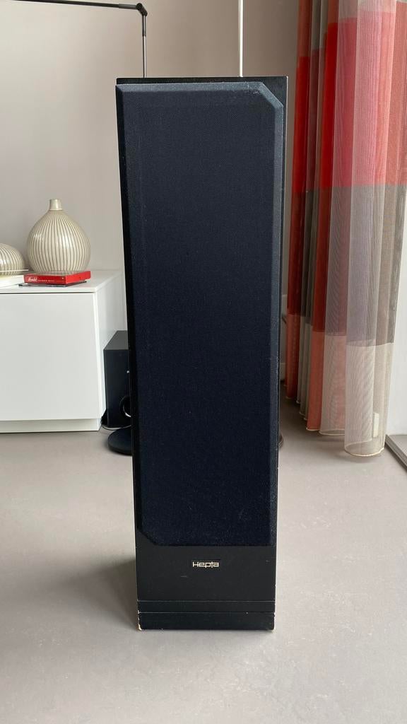 Te koop Hepta Elan boxen, Ophalen, Gebruikt, Front, Rear of Stereo speakers, Overige merken