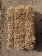 24 baaltjes hooi, 6,5% laag in suiker, Dieren en Toebehoren, Ophalen, Vee