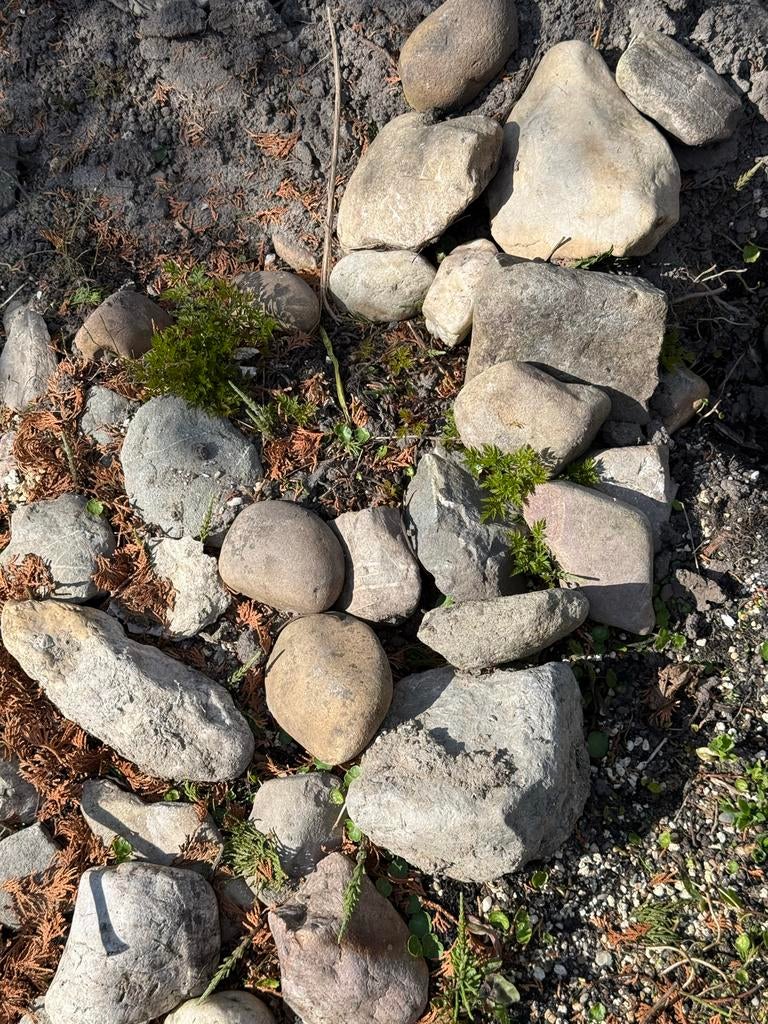 Gratis Maaskeien voor tuin of decoratie, Tuin en Terras, Grind, Keien en Split, Ophalen, Overige materialen, Gebruikt, Kei