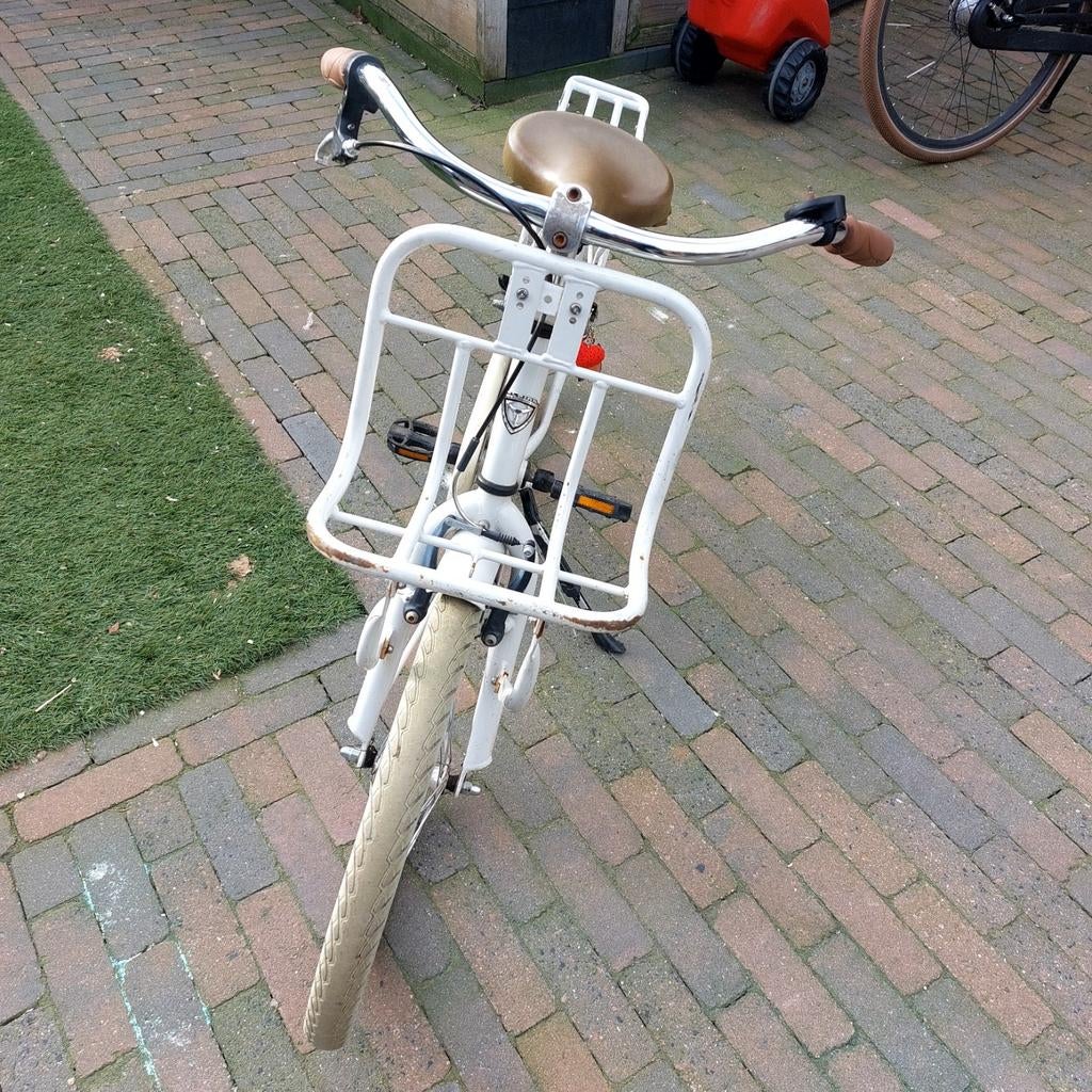 Alpina fiets 22 inch, Fietsen en Brommers, Ophalen of Verzenden, Gebruikt