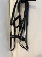 Bitloos hoofdstel, Dieren en Toebehoren, Paarden en Pony's | Hoofdstellen en Tuigage, Ophalen of Verzenden, Zo goed als nieuw