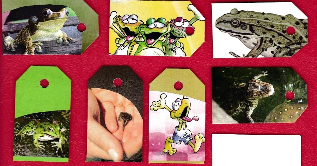 9769) kikkers padden labeltjes, Verzamelen, Dierenverzamelingen, Zo goed als nieuw, Overige typen, Ophalen of Verzenden