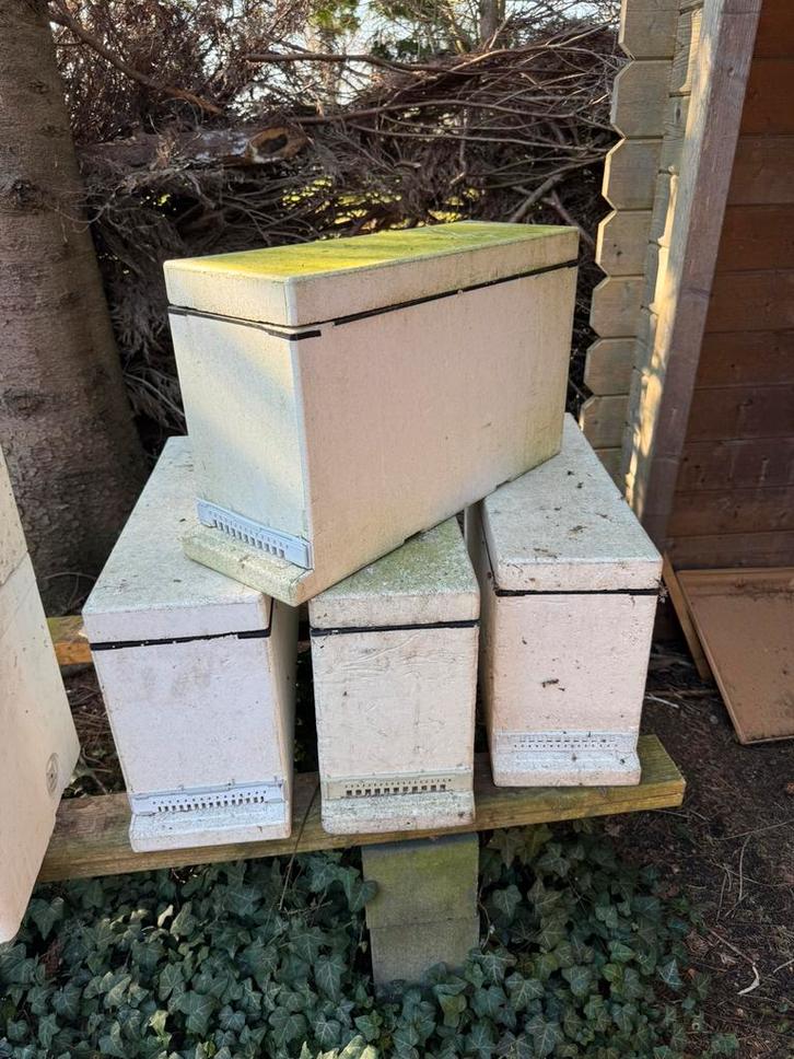 Langstroth 3 raams eps bijenkasten 3 stuks. Prijs per stuk, Dieren en Toebehoren, Insecten en Spinnen, Bijen