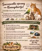 Dierenopvang knaagdieren opvang, Ophalen, Knaagdier of Konijn