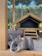 Konijnenhok Hooiberg Mees XL, Dieren en Toebehoren, Knaagdieren en Konijnen | Hokken en Kooien, 110 cm of meer, Nieuw, Ophalen of Verzenden