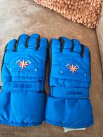 Chamonix Wintersport Handschoenen Maat L - Blauw, Thinsulate, Maat 52/54 (L), Overige typen, Nieuw