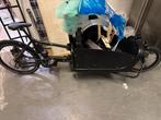 Elektrische bakfiets met AEG display - Nieuw, Overige merken, Ophalen of Verzenden, 2 kinderen, Nieuw