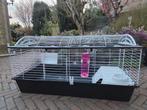 Konijnenkooi Ferplast Casita 120, Dieren en Toebehoren, Knaagdieren en Konijnen | Hokken en Kooien, Kooi, Konijn, Ophalen, Minder dan 60 cm