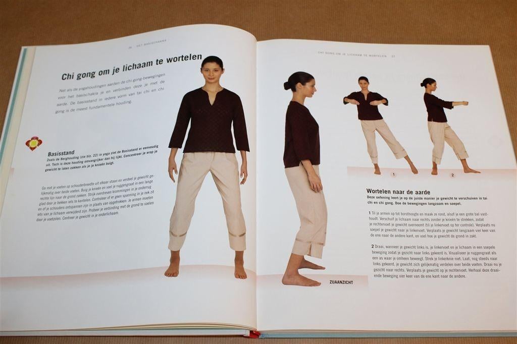 Chakra Energie — 7 Stappen Naar Meer Energie, Ophalen of Verzenden, Gelezen, Overige onderwerpen, Achtergrond en Informatie