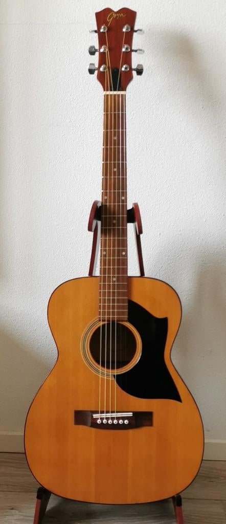Goya (by Martin) folk-/Country gitaar., Muziek en Instrumenten, Ophalen of Verzenden, Zo goed als nieuw, Western- of Steelstringgitaar