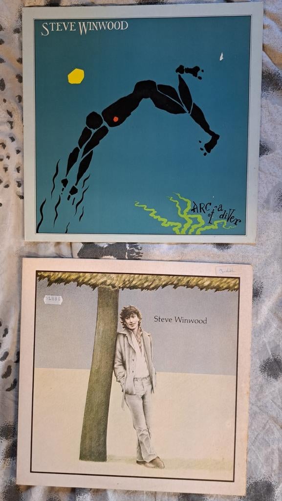 Steve Winwood LP's: Arc of a Diver & Steve Winwood, Gebruikt, 1980 - 1989, Ophalen of Verzenden, 12 inch