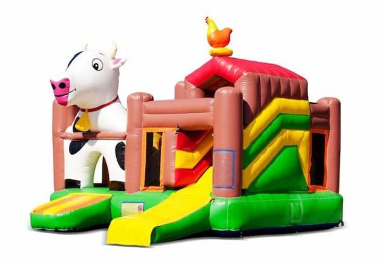 Boerderij spellen / Boerderij springkussen / THEMA BOERDERIJ, Ophalen of Verzenden, Zo goed als nieuw, Overige