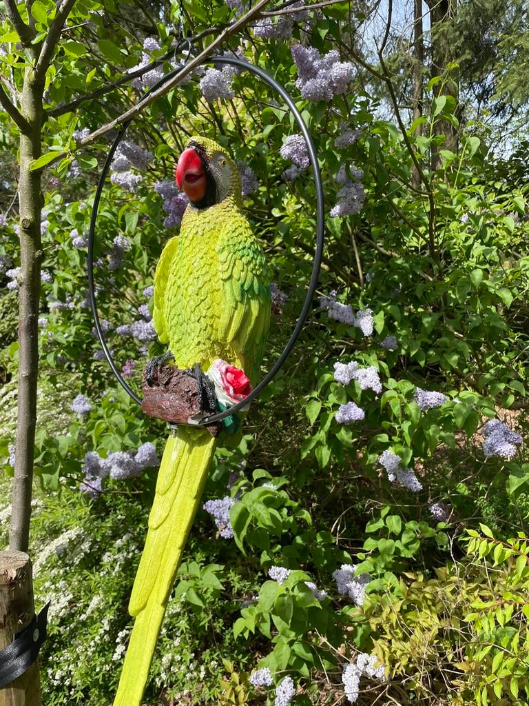 Papegaai in ring hanger beeld tuin huis vogel raamdecoratie, Ophalen, Nieuw, Kunststof, Dierenbeeld