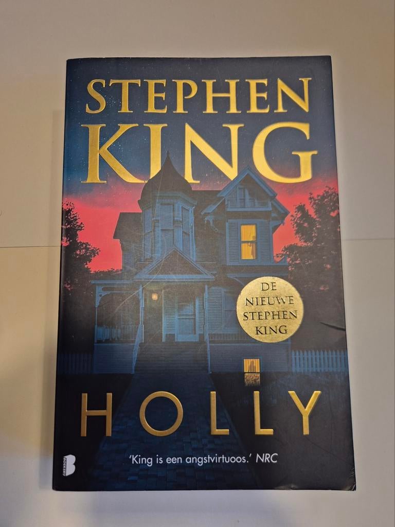 Stephen King - Holly, Boeken, Detectives, Ophalen of Verzenden