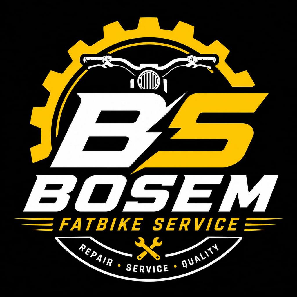 Beste Fatbike service in Twente en omstreken!, Fietsen en Brommers, Ophalen of Verzenden, Fatbike