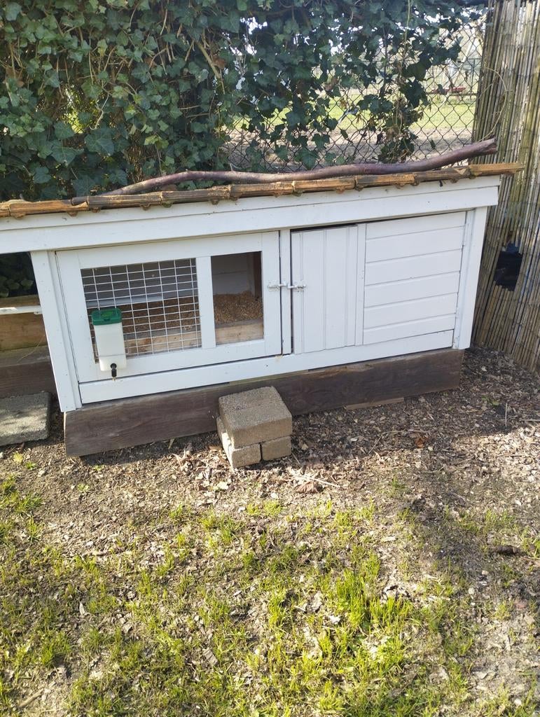 Groot degelijk konijnenhok 150x55, Ophalen, 60 tot 90 cm, Konijn, Hok