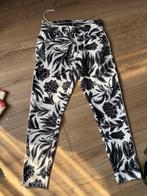 Zizo broek maat 40 met Maicazz shirt maat L, Maat 38/40 (M), Zwart, Ophalen of Verzenden, Zo goed als nieuw